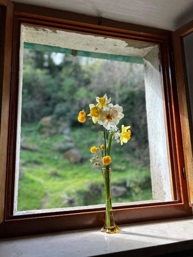 Casina Orione Appartement Montecatini Val di Cecina Buitenkant foto