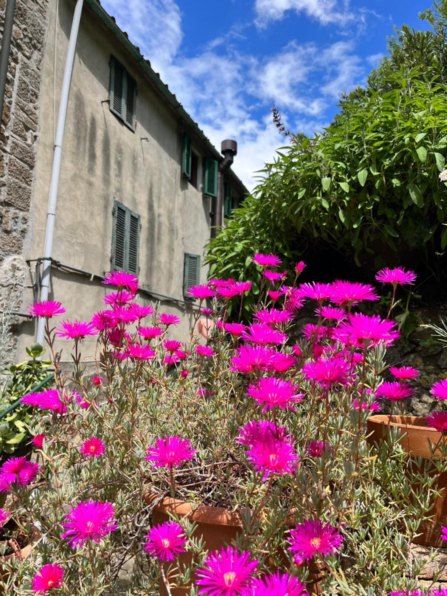 Casina Orione Appartement Montecatini Val di Cecina Buitenkant foto
